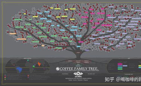 咖啡的性质是什么