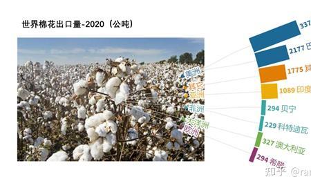 世界三大长绒棉产地