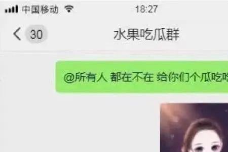 吃瓜群什么意思
