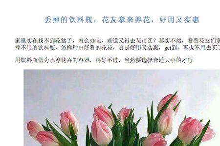 男士也可以比喻成花吗
