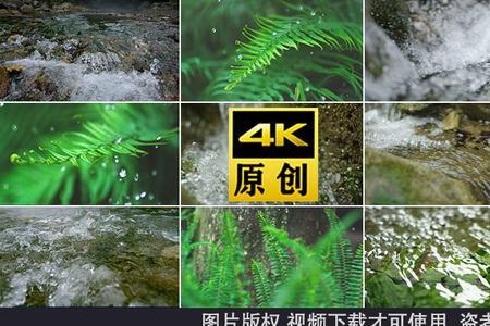 代表泉水溪水的字