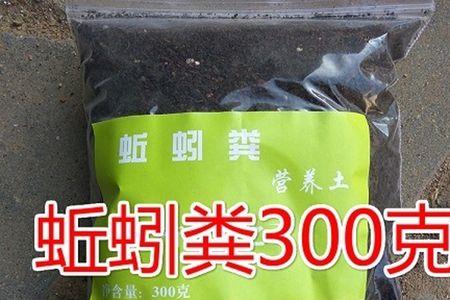 雷龙喂蚯蚓有营养吗