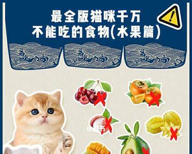 猫咪能吃芒果吗