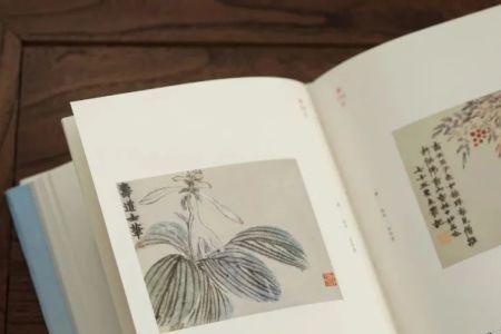 恬淡安适的意思