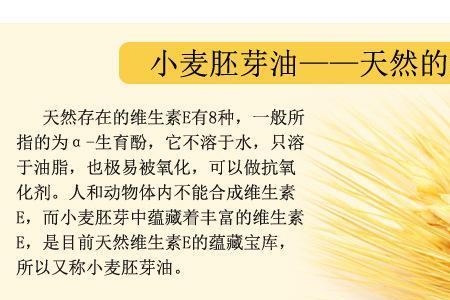 小麦胚芽哪个牌子比较好