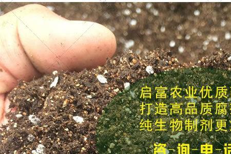 泥炭土和腐叶土能一起用吗