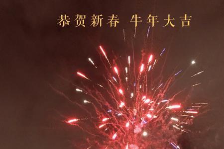 新年顺遂的意思