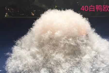 95白鸭绒能穿多少度
