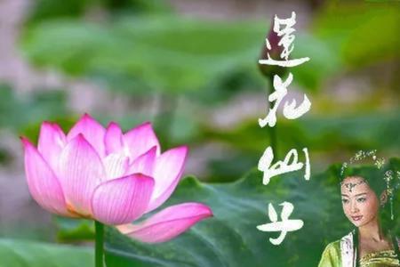 玉叶仙子大结局