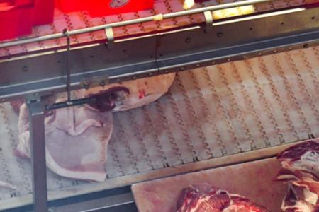 大红门猪肉产地哪里