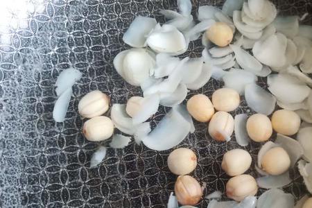 鲜莲子可以焯水再泠冻吗