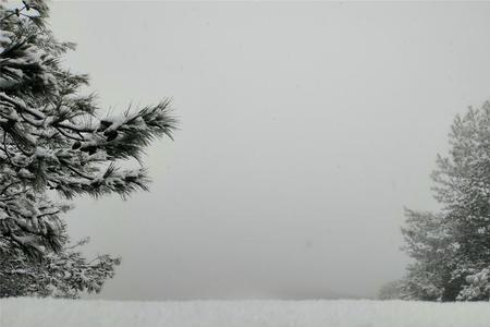 北山初雪的作者