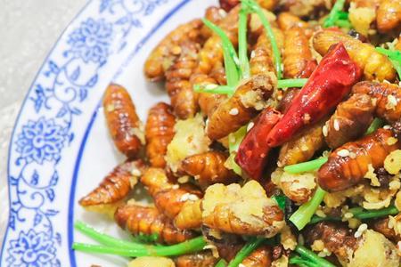 干煸蚕蛹蒸熟还是煮熟