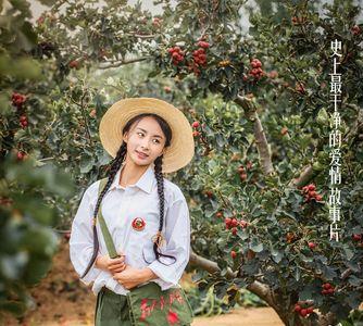 山楂树之恋多长
