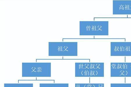 同姓亲族有哪些