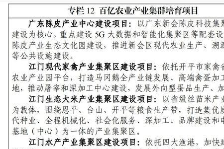 江门知名产业排名