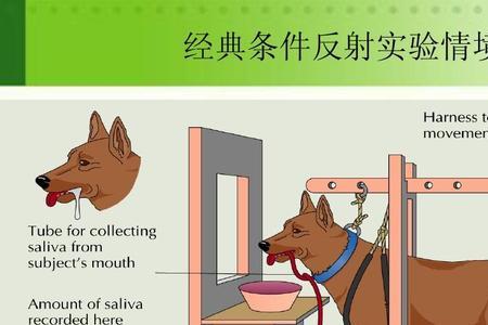 反射发生的条件是什么