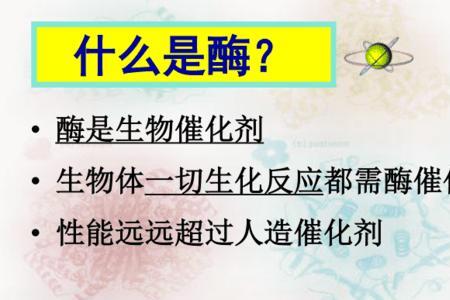 酶的结构与功能的关系