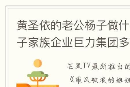 巨力集团到底是做什么的
