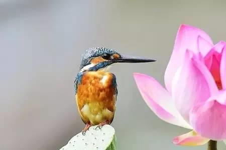 尤深的意思