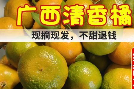 清香蜜橘和砂糖橘哪个好吃