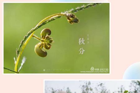 季节的四个阶段