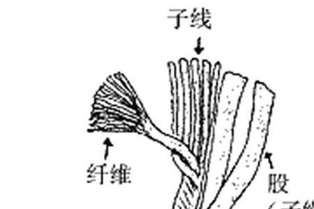 尼龙绳什么时候发明的