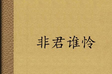 谁怜什么意思