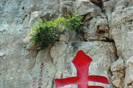 福寿绵延下一句是什么