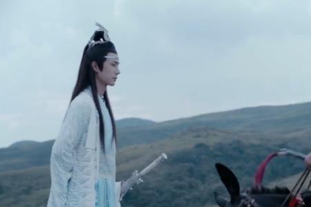 陈情令果子是什么意思