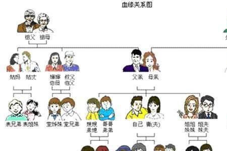 有血缘关系滴血验亲会相容吗