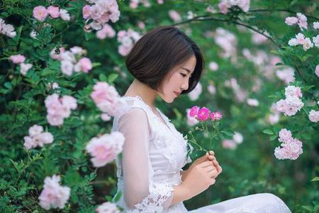 似月如花是什么意思