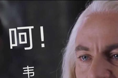 伏地魔为什么要选马尔福