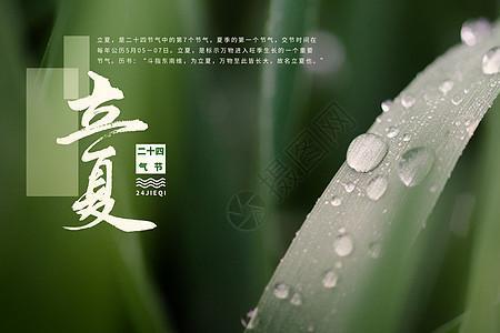 立夏有露水吗