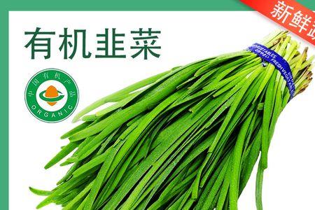 什么韭菜最嫩