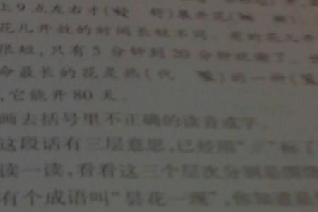 花钟昙花一现是什么意思