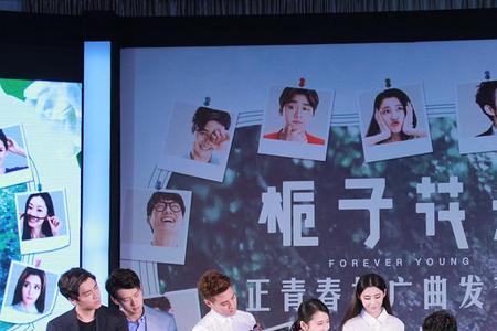 栀子花开导演是谁