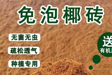 椰砖要泡多长时间