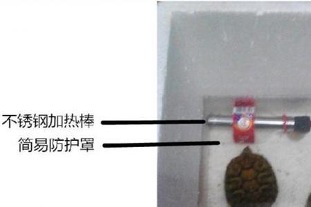乌龟不进食没有加热棒怎么办