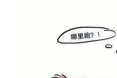 网上追逃必须满足什么条件