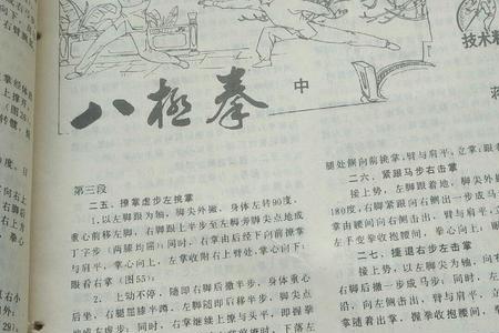 张龙八极拳拳谱口诀