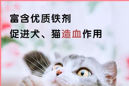 什么动物需要补铁