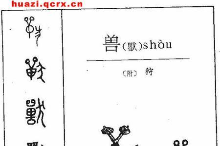 兽加上部首有哪些字