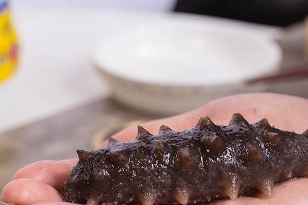 海参10个头的好吗