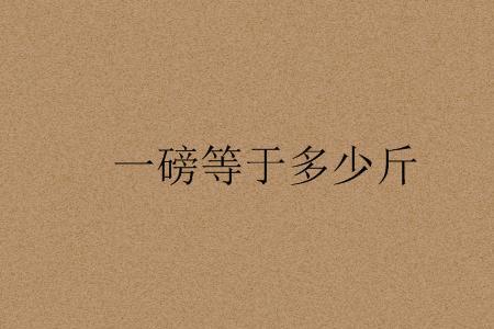 两磅多少千克