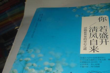 你若盛开清风自来全诗