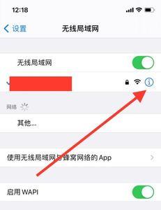 苹果手机怎么开数据网络