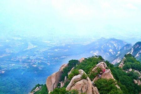 为什么全国都有凤凰山