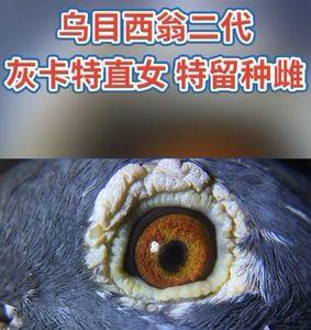 乌目是什么意思