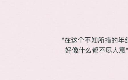 尽人意什么意思